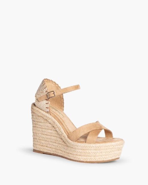 Zeppa Siena Camel marca Corina RIF M4335