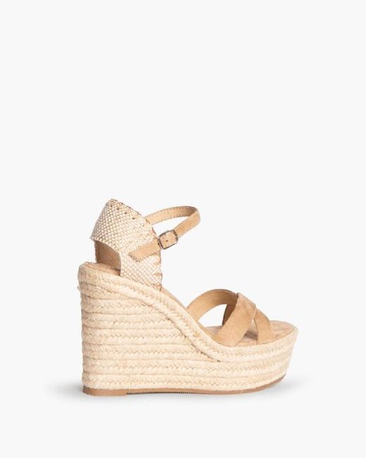 Zeppa Siena Camel marca Corina RIF M4335