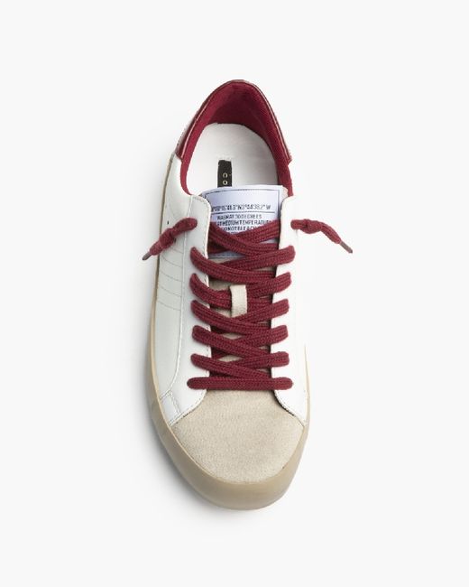 Scarpa sportiva Amy Burgundy, Corina Brand, RIF M6020