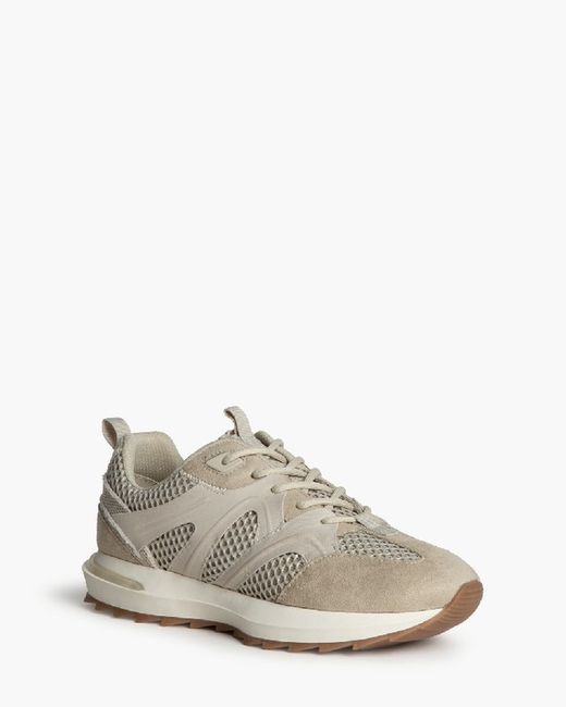 Scarpe sportive Corina Brand Run Arena REF M5116