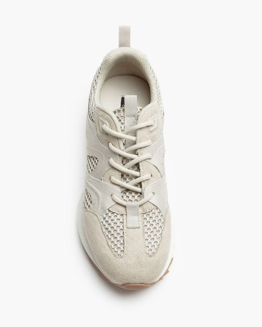 Scarpe sportive Corina Brand Run Arena REF M5116