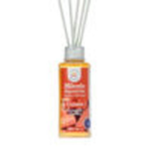 PACK 6 Recharge MIKADO Cannelle (6 X 100ml)