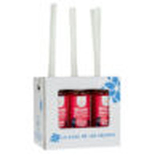 PACK 6 MIKADO Substitut Fruits Rouges (6 X 100ml)