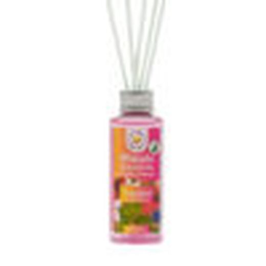 PACK 6 MIKADO Reconstitution Tropicale (6 X 100ml)