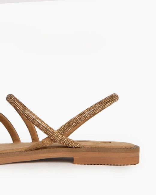Sandalia Plana Brilli Brilli Camel marca Corina REF M4450