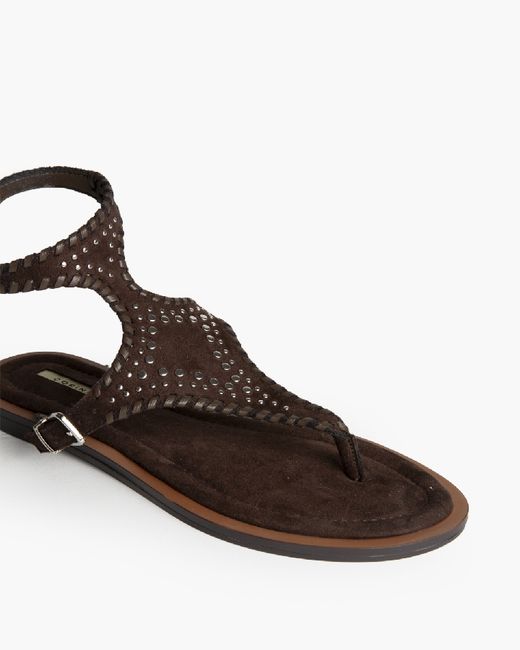 Sandália rasa perfurada com fivela dupla, castanha, marca Corina, REF M6430