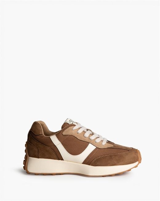 Sneakers Sue Camel Marca Corina REF M6530