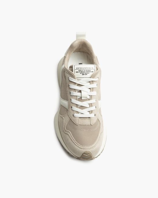 Sneakers Sue Crudo Marca Corina REF M4532