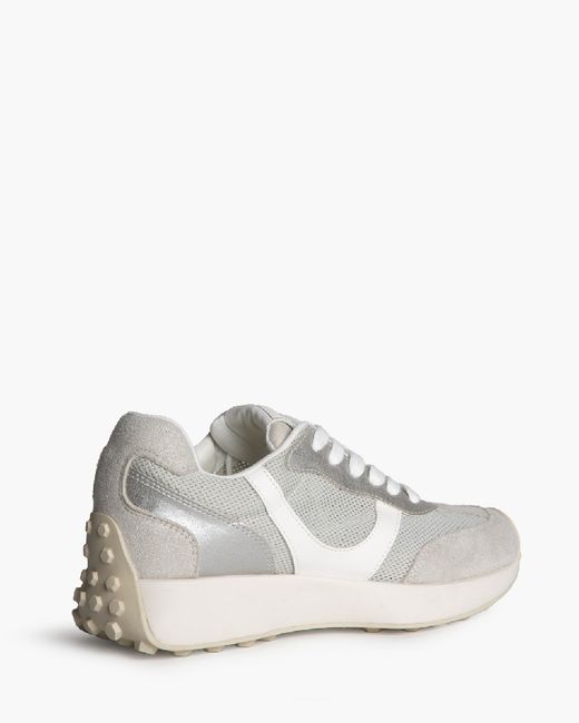 Sneakers in pelle scamosciata argento Corina Brand REF M6070