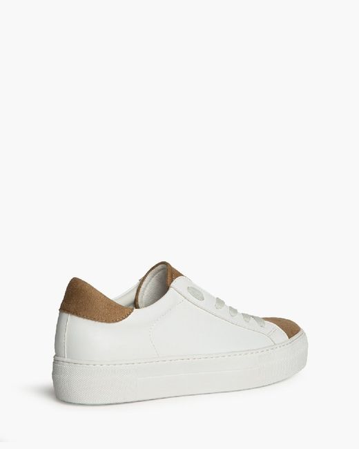 Sneaker con zeppa Basic Camel Corina Brand REF M5065