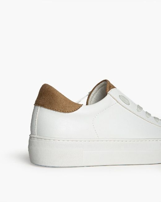 Sneaker con zeppa Basic Camel Corina Brand REF M5065