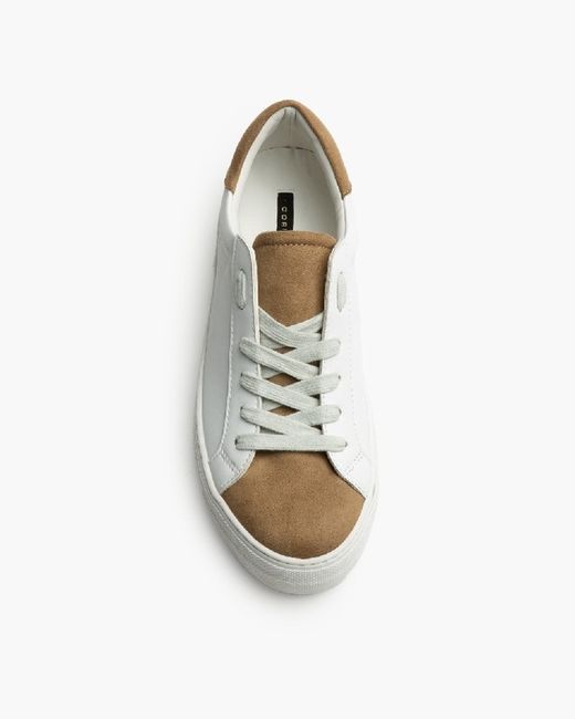 Sneaker con zeppa Basic Camel Corina Brand REF M5065