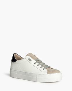 Sneaker con plateau color talpa di base Corina Brand REF M5065