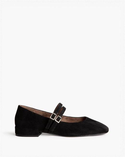 Zapato Elegante Para Mujer Negro con Hebillas marca Corina REF. M6600